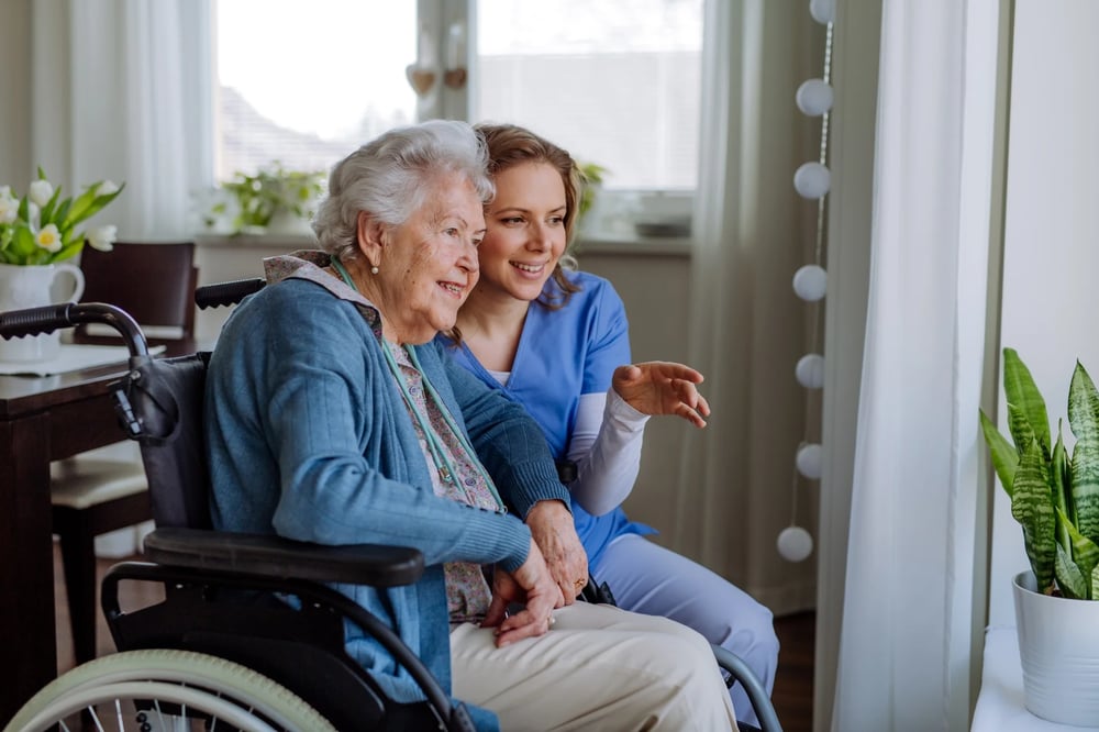 eldery person and carer looking out window